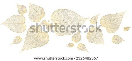 Beautiful background with leaves vein. Vector illustration. Royalty-Free Stock Photo #2326482367
