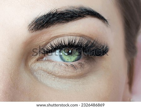 Close up of eye with eyelash extensions ,beauty salon treatment ,2d volume, 3d volume, classical lashes,Russian volume,megavolume, new set. Royalty-Free Stock Photo #2326486869