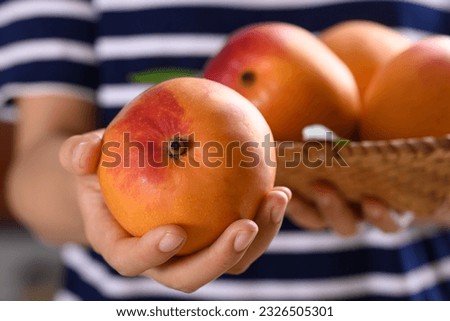 Mango fruit (Tommy Atkins) holding by woman hand, Tropical fruit Royalty-Free Stock Photo #2326505301