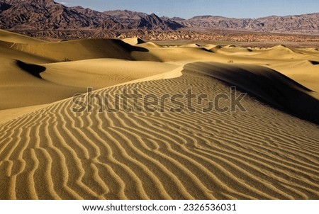 the desert during the day is very hot and beautiful