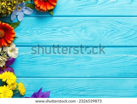 Colorful Flowers on Blue Wooden Background: Vibrant Floral Blooms for Nature's Delight.