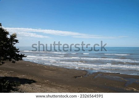 view from the beach and forest 