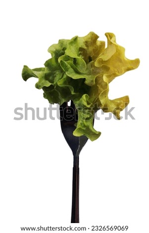 Fresh lettuce leaves on the metal fork on a white background