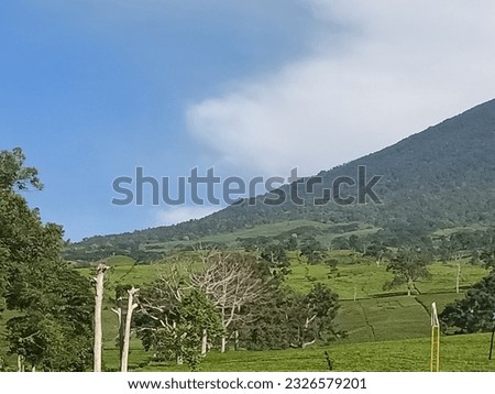Dempo mountain, Pagaralam , south Sumatra, Indonesia 