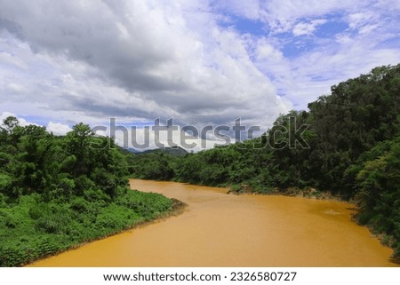 View of brown river through tropical rainforest.