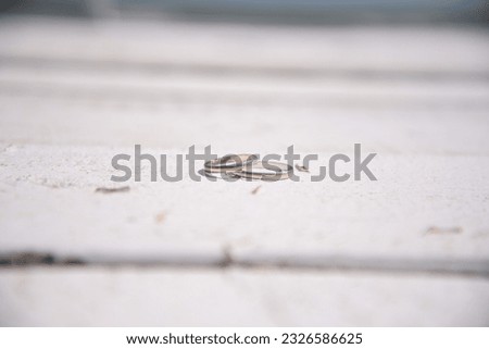 White gold wedding rings on a wooden table by the sea.