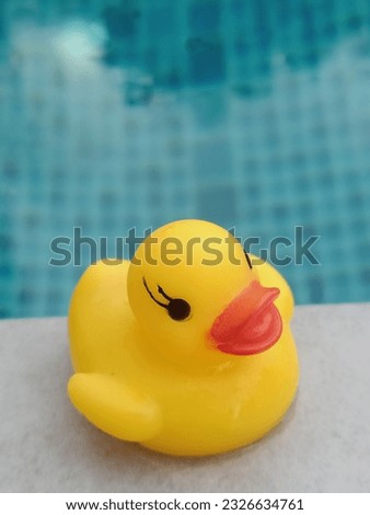 Cute yellow duck by the pool