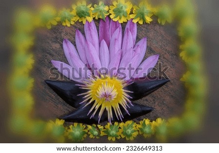 illustrated tropical pink lotus petals and pollens arrangement on blurry yellow flower frame background template 