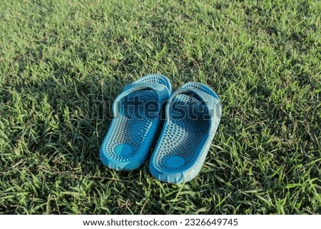 a pair of grown-up sandals in blue on the green grass