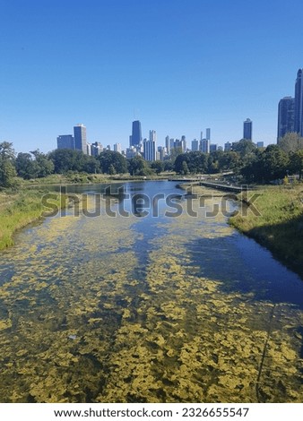 A photo of the Chicago skyline from Lincoln Park 