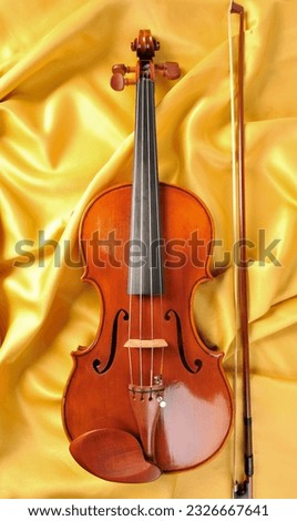 Pictures of classical wooden violin.