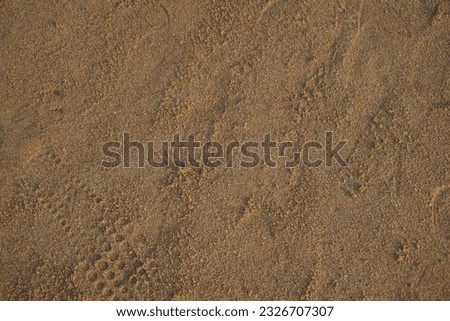 Raw sand picture for a perfect background