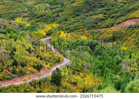 Autumn's Aerial Tapestry: Breathtaking Top View of Fall Colors in La Sal Mountain near Moab, Utah, Presented in Stunning 4K