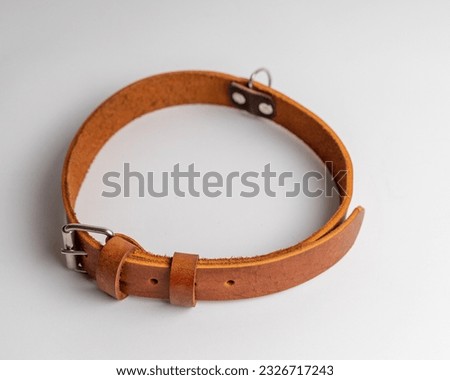 Leather dog belt on white background, product photography