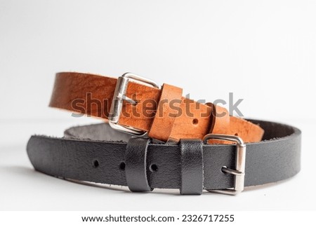 Leather dog belt on white background, product photography