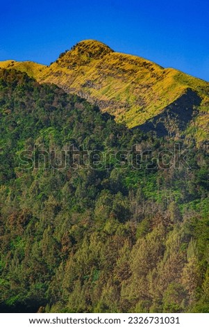 one of the peaks of Mount Merbabu, Central Java, Indonesia