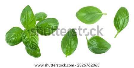 Fresh basil leaf isolated on white background with full depth of field. Top view. Flat lay Royalty-Free Stock Photo #2326762063