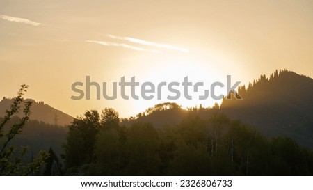 beautiful sunrise in the mountains. forest at dawn