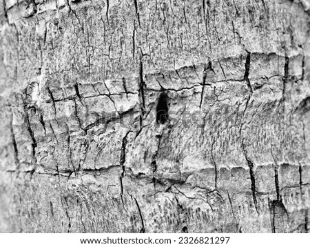 Wood old texture background natural surface and pattern.