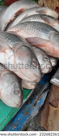 One of the Capture from the Fish Market in Lahore