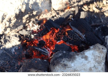 camp Fire. barbecue. fire embers. ash. burnt wood