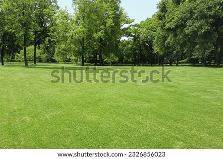 Beautiful landscape in the city park. Real landscape, Trees and lawns in the park. Central City Park