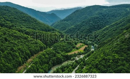 Forest, river and the mountains