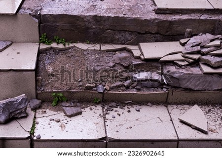 A shattered tiled grey porch steps, debris and young plants growing between them.