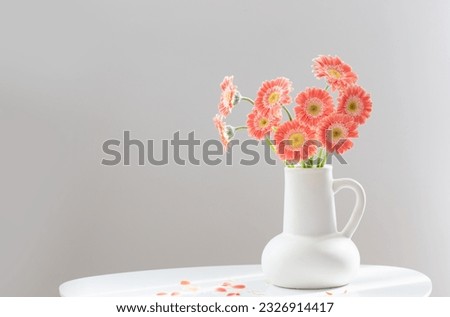pink gerber in white jug on white table