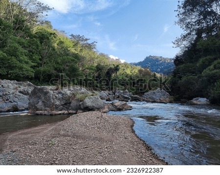 View of the forest, stream, running water, nature