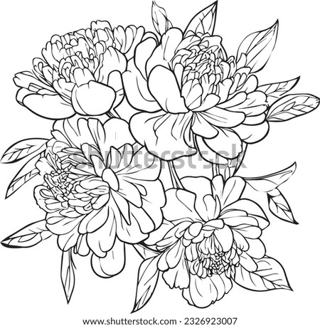 Sketch of outline peony flower coloring book hand drawn vector illustration artistically engraved ink art blossom peony flowers isolated on white background clip art.