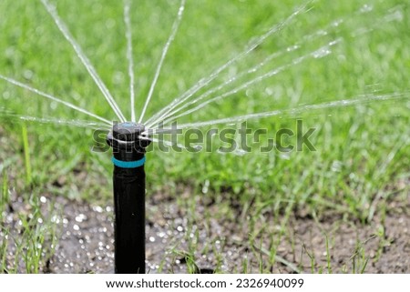 Close-up of automatic pop-up sprinkler while lawn irrigation Royalty-Free Stock Photo #2326940099