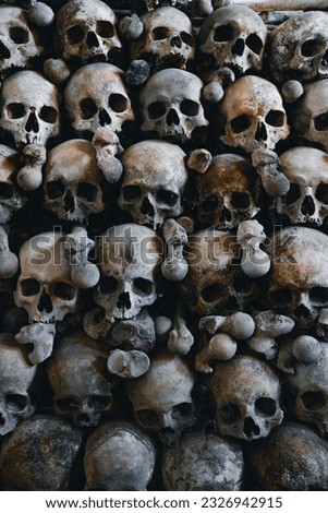 Collection of skulls and bones covered in cobwebs and dust in the catacombs. Numerous eerie skulls in the darkness. An abstract concept symbolizing death, terror, and evil.