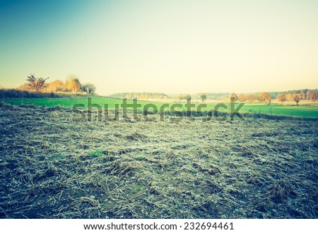 vintage photo of rural green field