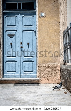 Dove in front of a house in finale Ligure