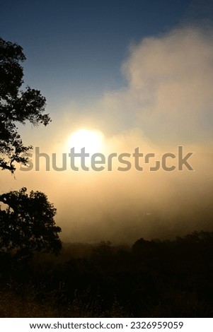 beautiful silhouette of trees and clouds on a summer morning in the mountains