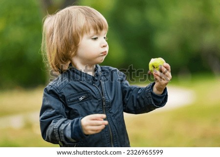 Cute toddler boy eating an apple in apple tree orchard in summer day. Child picking fruits in a garden. Fresh healthy food for kids. Family nutrition in summer.