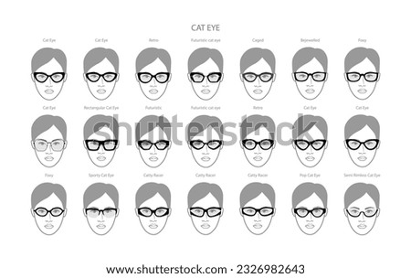 Set of Cat Eye glasses frame glasses on women face character fashion accessory illustration. Sunglass front view unisex silhouette style, flat rim eyeglasses with lens sketch style outline isolated