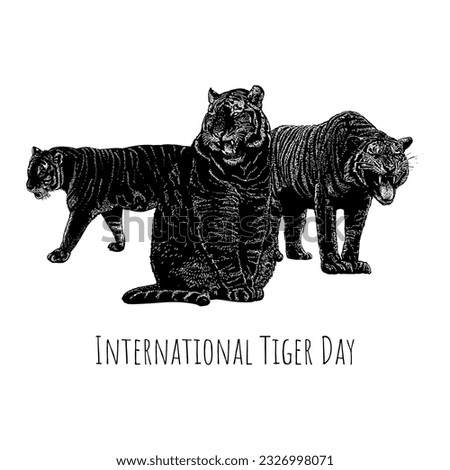 International Tiger Day hand drawing vector isolated on white background.