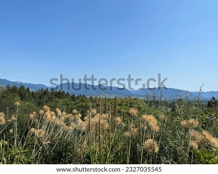Panoramic views of mountains and grasslands from pick area of city having clean blue sky over it