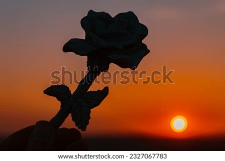Details of a stone rose silhouette at sunset