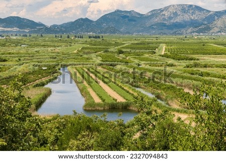 
Agricultural land in the Neretva delta in Croatia.