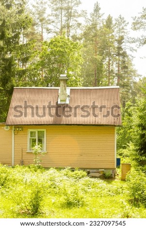 Yellow wooden country house with one window in the forest in sunlight on summer day