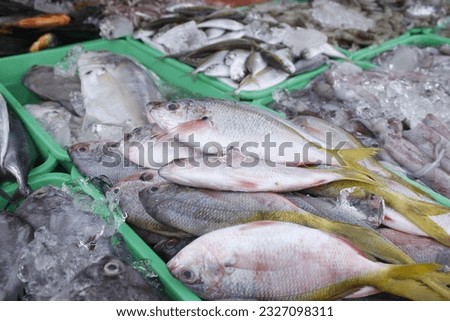 fresh fish seller in market various types of sea fish are sold in traditional markets in Jakarta. Royalty-Free Stock Photo #2327098311