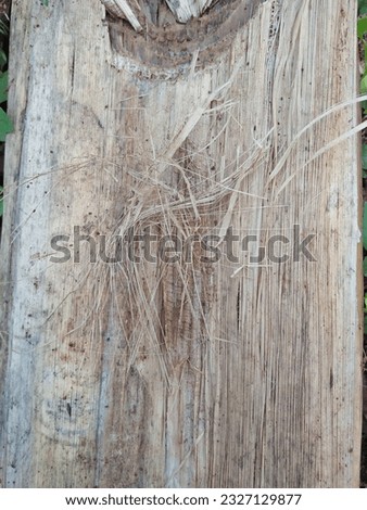 The texture of a banana tree trunk is stringy