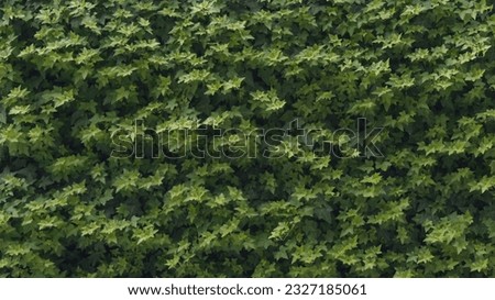 Texture of green leaves from a flower bed for background