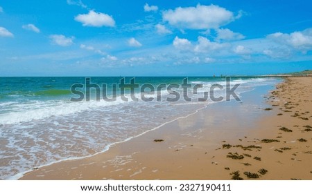 Sand beach along a sea under a dark blue cloudy sky in bright sunlight in summer, Zeeland, the Netherlands, June, 2023