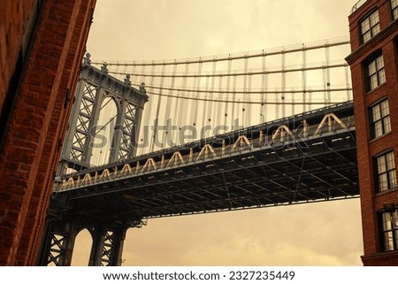 Marvel at the captivating sight of the Manhattan Bridge seamlessly nestled amidst Dumbo's charming buildings—a perfect blend of urban architecture and natural beauty.