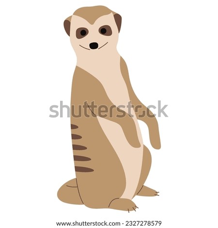 Meerkat Single 18 cute on a white background, vector illustration