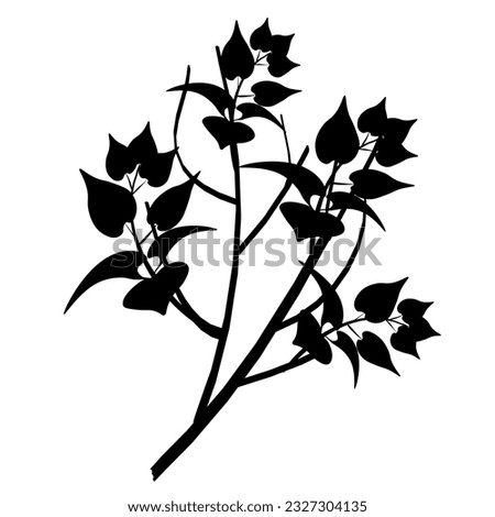 Tree Branches .
Japanese traditional ink painting
 Oriental style sumi e, u shun, go hua,
SSTK abstract,
vector illustration.